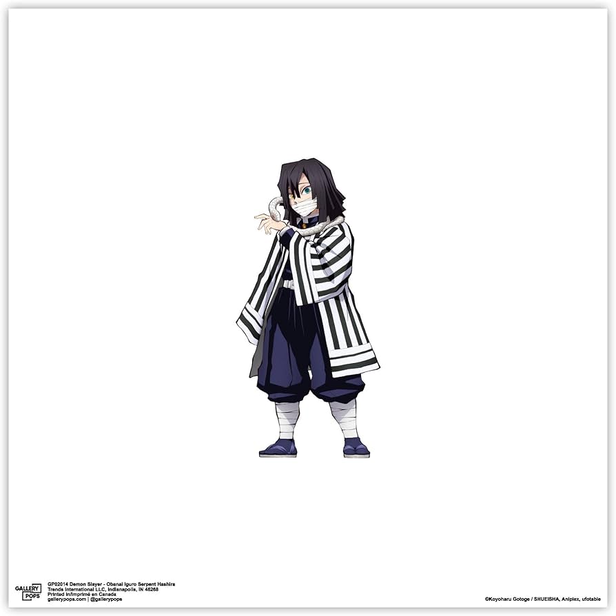 Amazon.com: Trends International Gallery Pops Demon Slayer